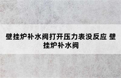 壁挂炉补水阀打开压力表没反应 壁挂炉补水阀